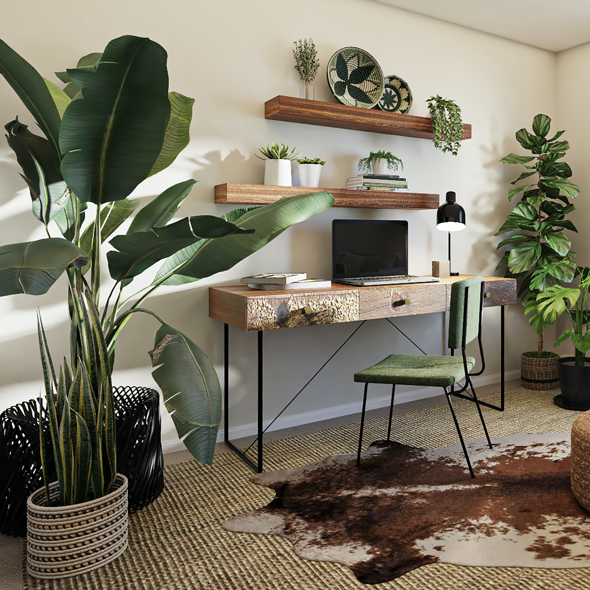 3 Large Indoor Plants To Enhance Your Home Décor