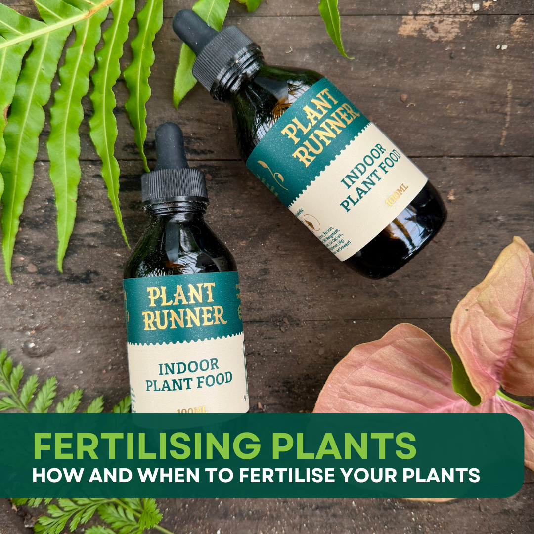 Spring has Sprung – Fertilising in Peak Growing Season