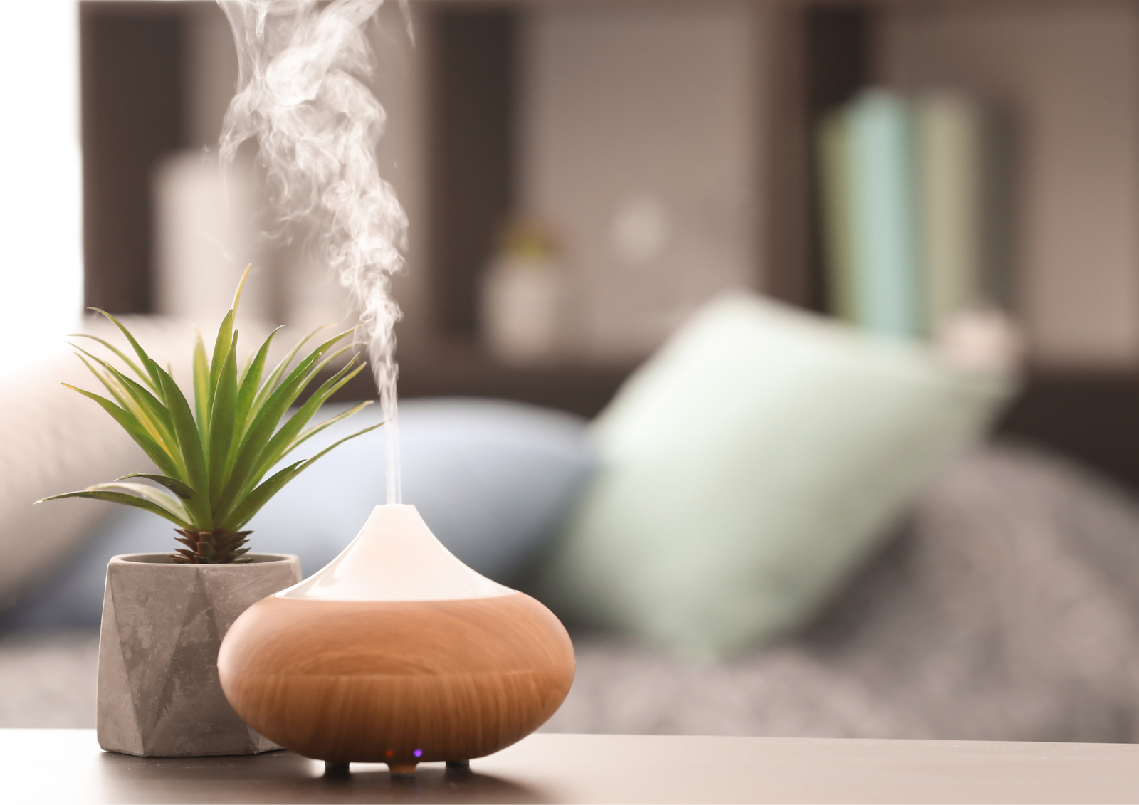 The Art Of Watering Plants. 5 Useful Tips To Keep Your Plants Thriving.