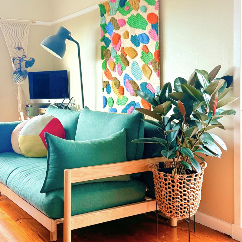 Large Ficus Elastica plant in a wicker basket, sitting next to a green couch in a living room, purifying the air..