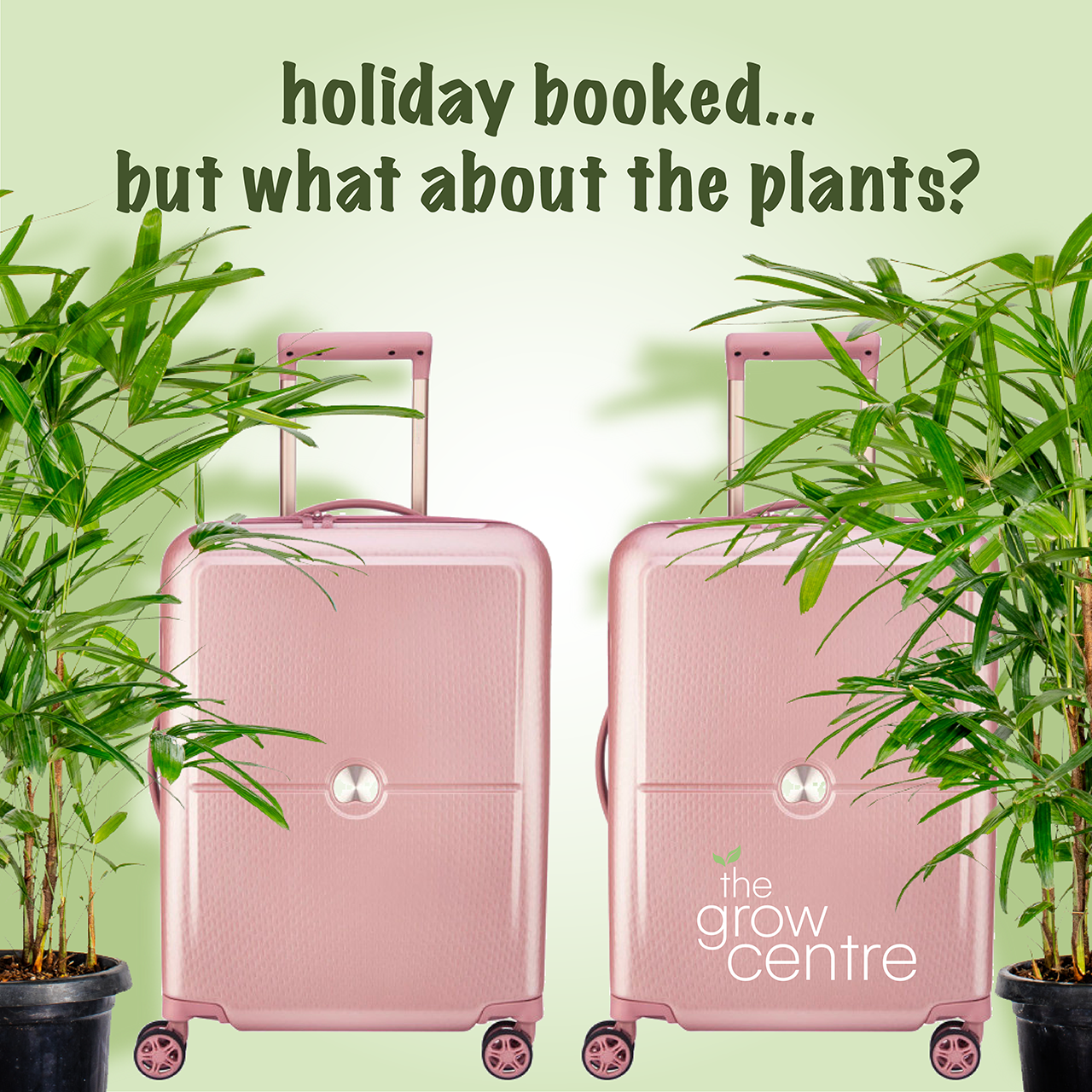 Holiday booked... but what about the plants?