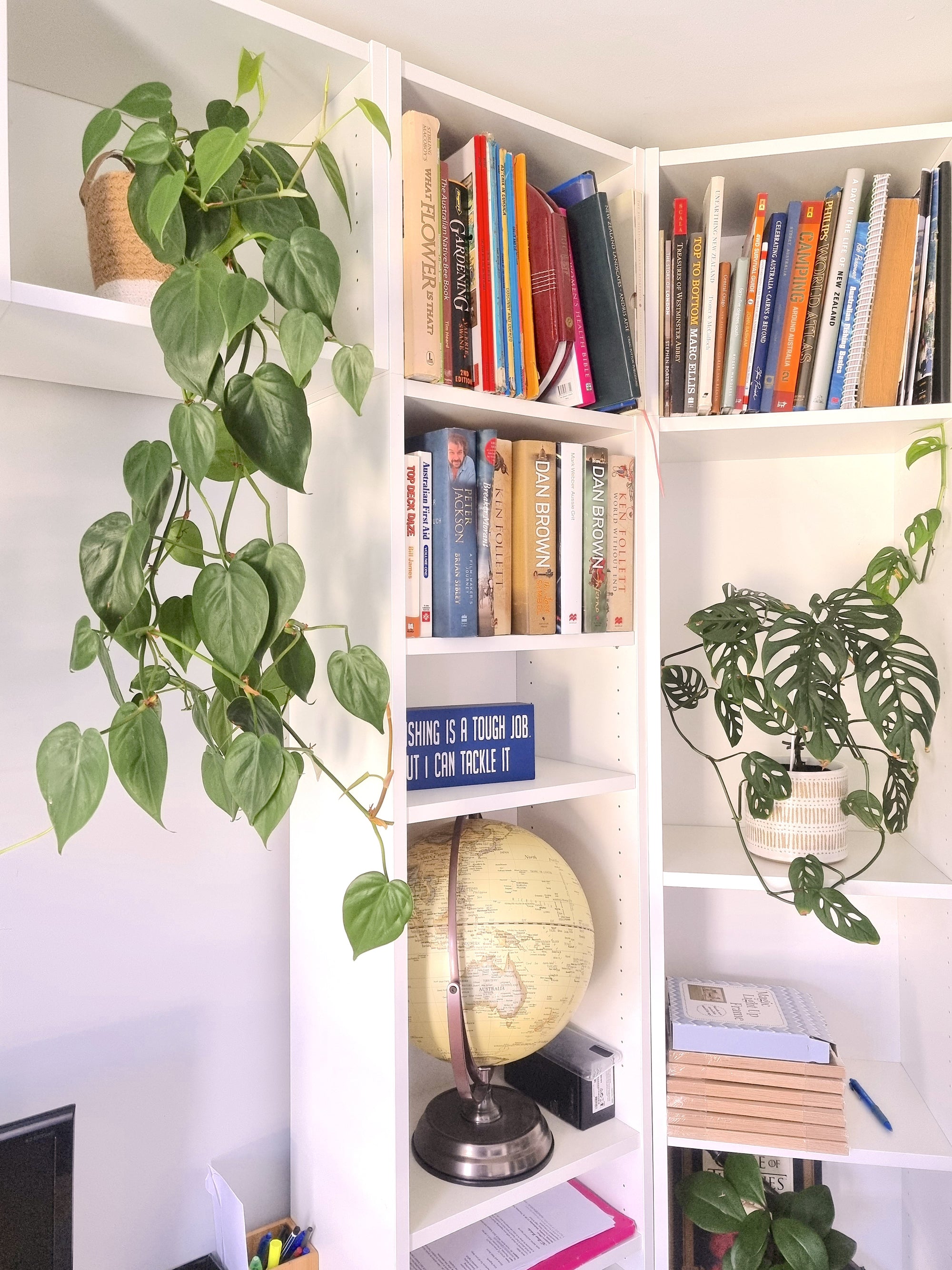 The Power Of Green: Health Benefits Of Indoor Plants For Remote Workers
