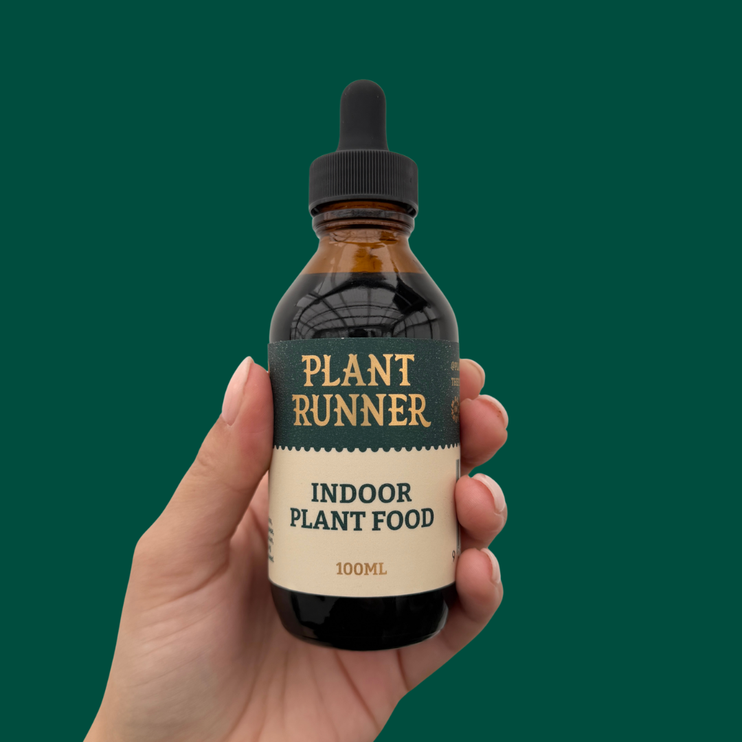 neem oil for indoor plants The Plant Runner Neem Oil Spray