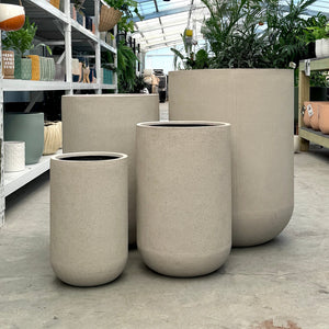 Altus U Pot Beige Pot Plant Set in an Indoor Plant Nursery in Melbourne