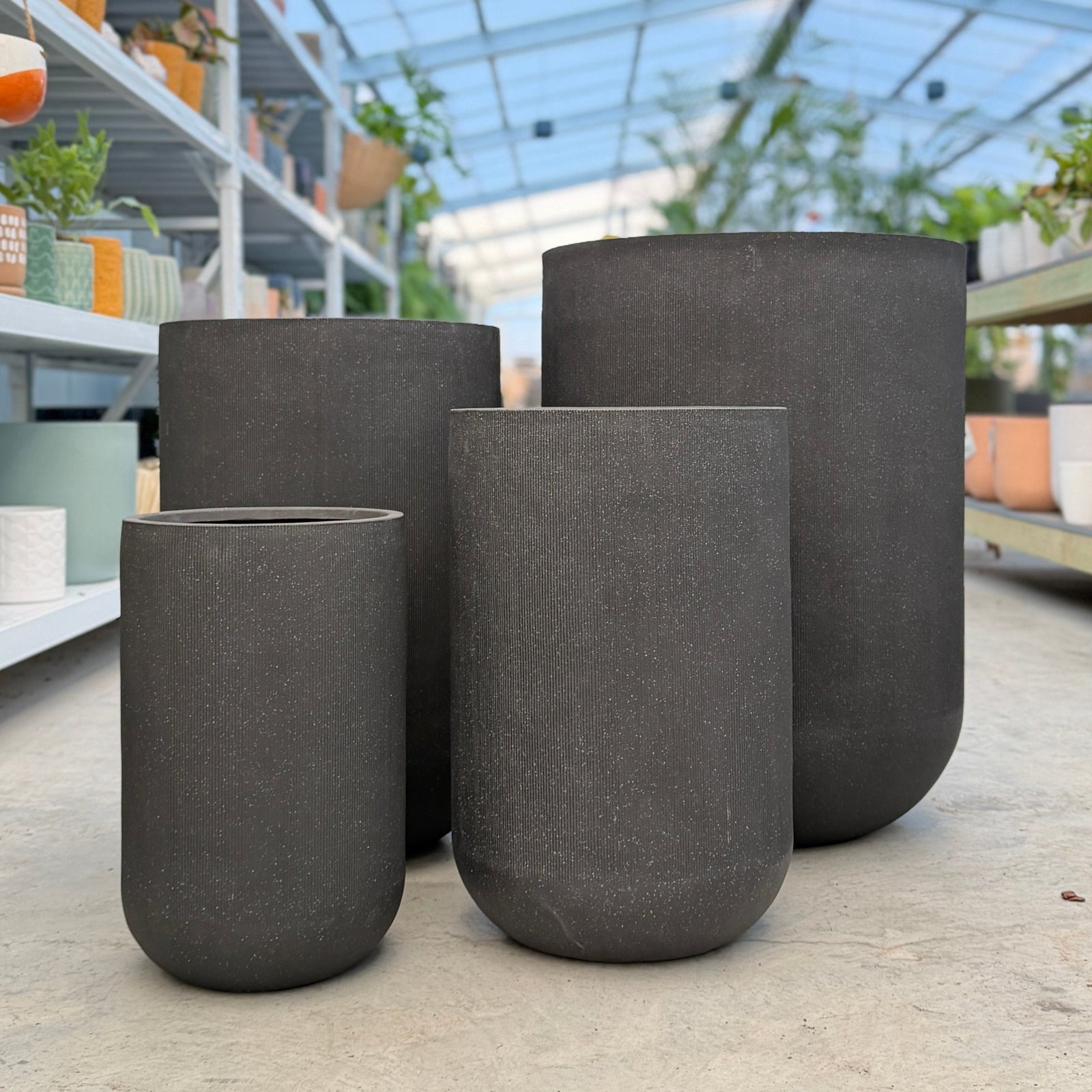 Altus U Pot Beige Pot Plant Set in an Indoor Plant Nursery in Melbourne
