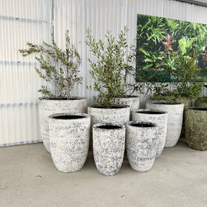 Northcote Pottery Chamber U Pot