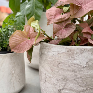 Close Up of Texture of Modstone Cylinder Pot