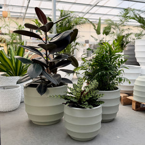 Ellipse Egg Pot Mint in three sizes with indoor plants