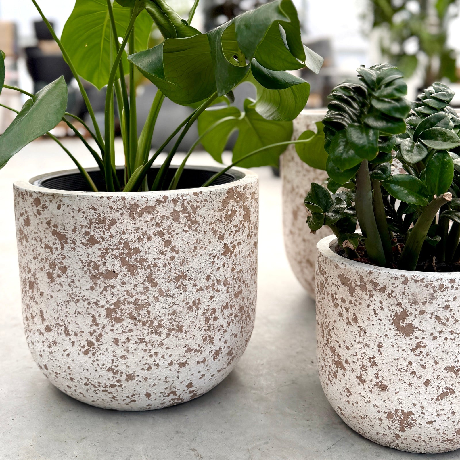 Northcote Pottery Dune Egg Pot