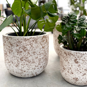Northcote Pottery Dune Egg Pot