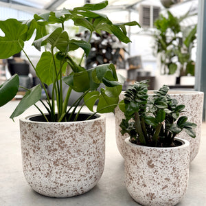 Northcote Pottery Dune Egg Pot