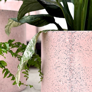 Pink Terrazzo Pot Plant Set Close Up