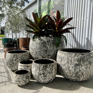 Set of 6 Mega Belly Pot by Northcote Pottery in a plant nursery with multiple large bromeliads planted in the largest post