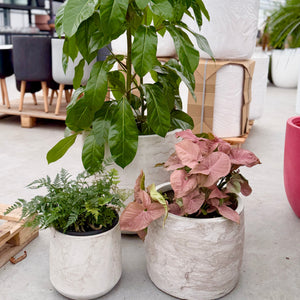 Northcote Pottery Modstone Cylinder Pots