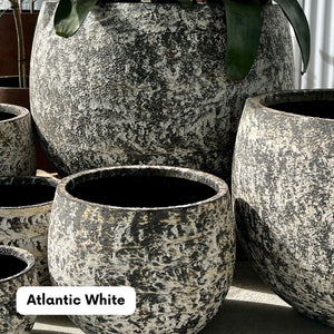 Northcote Pottery Mega Belly Pot