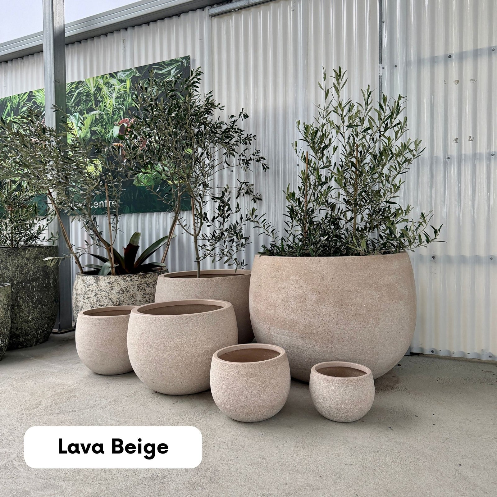 Northcote Pottery Mega Belly Pot