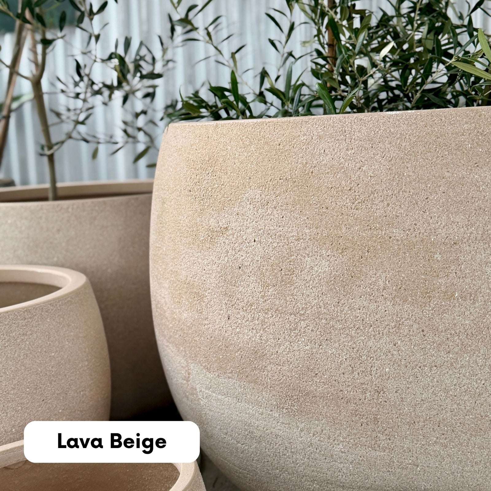 Northcote Pottery Mega Belly Pot