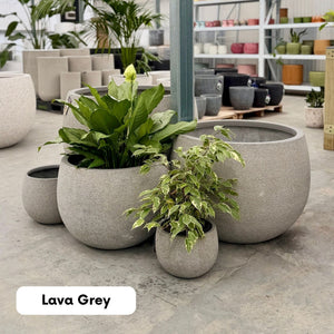 Northcote Pottery Mega Belly Pot