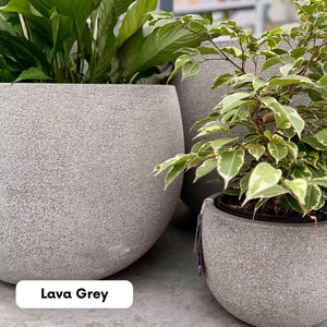 Northcote Pottery Mega Belly Pot