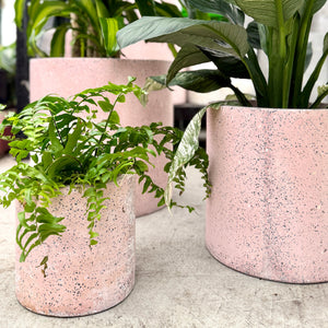 Close Up of Pink Terrazzo Pot plant set