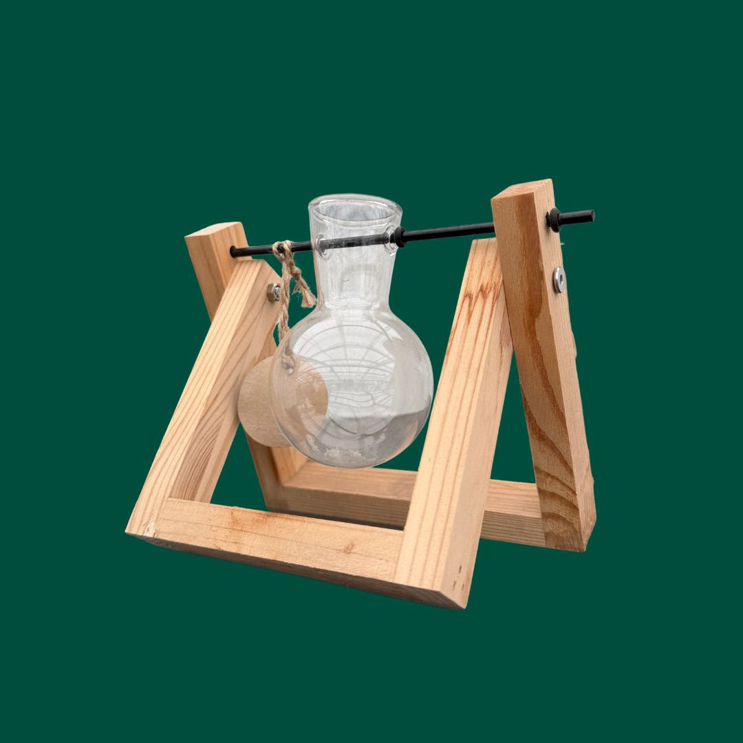 Single vessel plant propagation unit for indoor plants