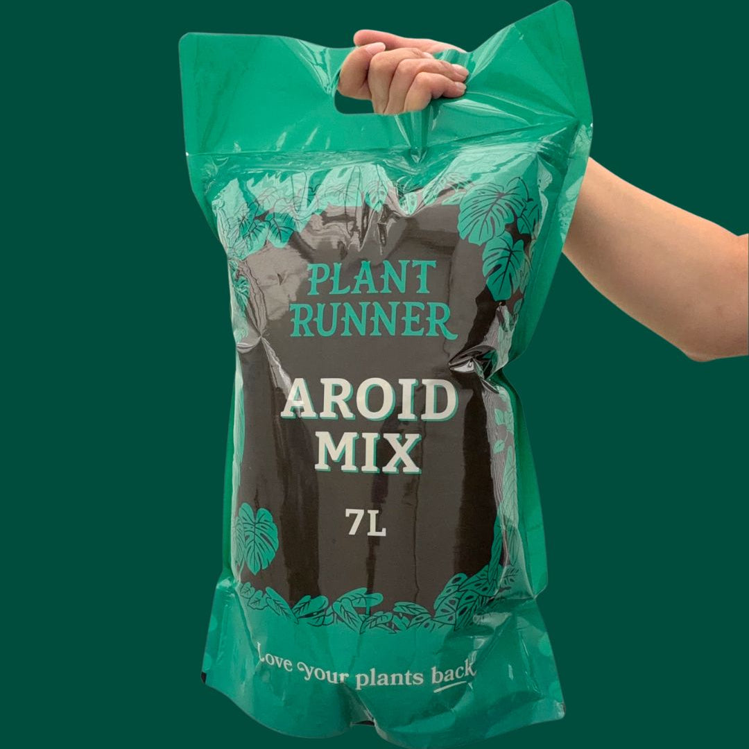 Hand holding a bag of Plant Runner Aroid Mix for plants