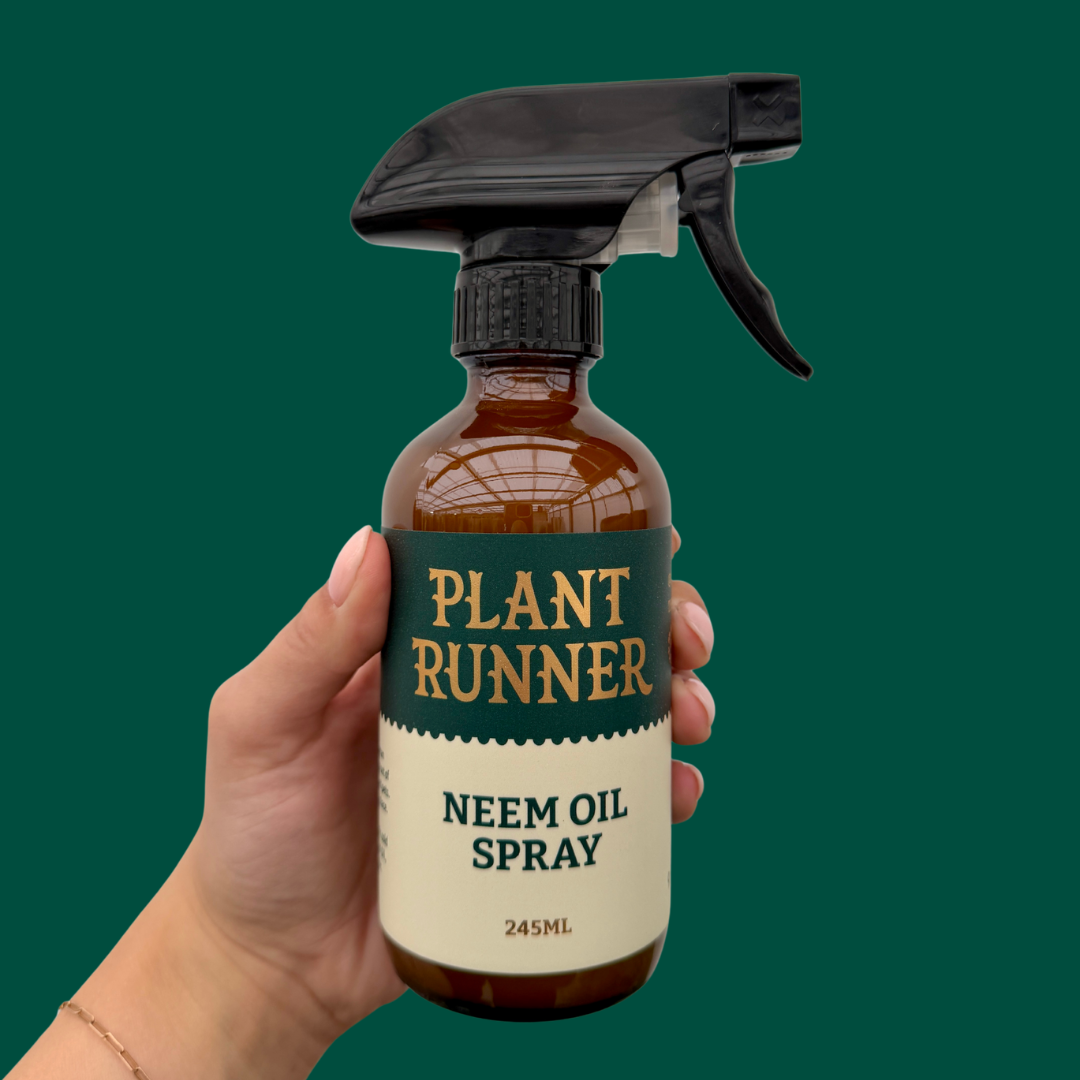The Plant Runner Neem Oil Spray
