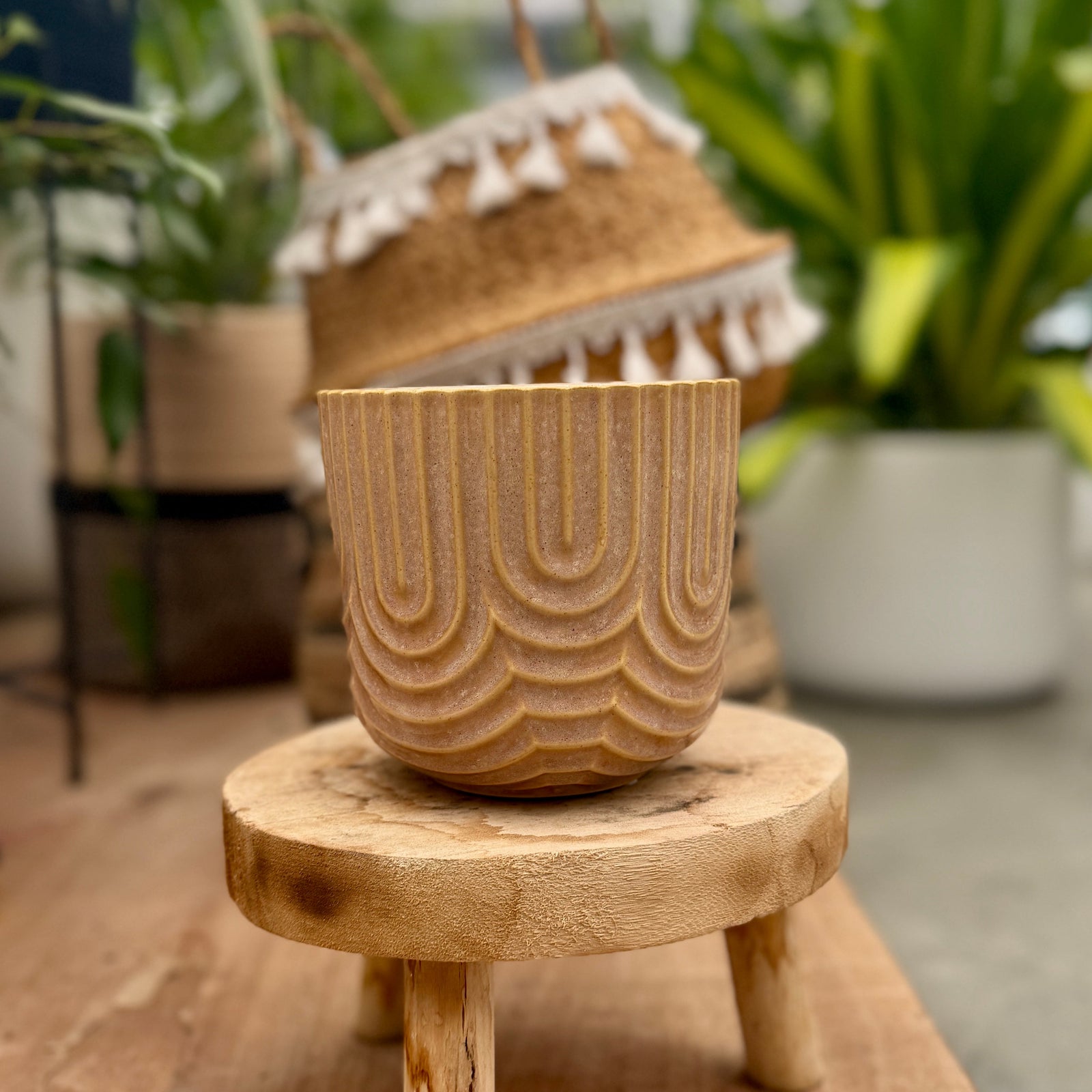 Potted Hippy Planter in Mantis Medium