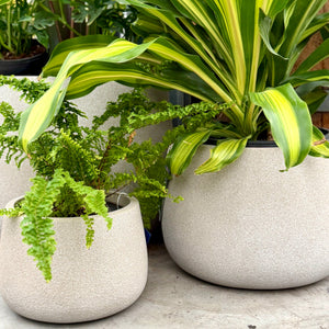 Northcote Pottery Vellum Drum Pots