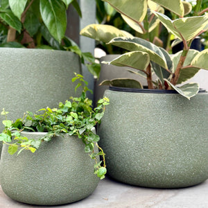 Northcote Pottery Vellum Drum Pots