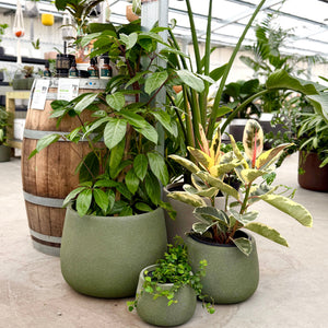 Northcote Pottery Vellum Drum Pots