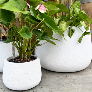 Northcote Pottery Vellum Drum Pots
