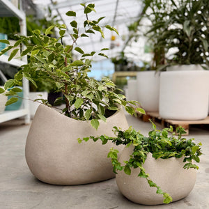 2 beige coloured planters with plants inside