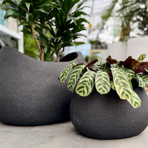 Close up of the Vellum Rock Black planters