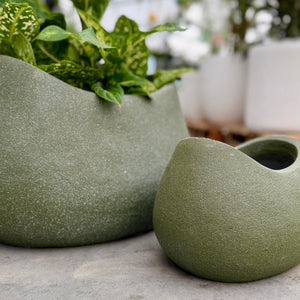 Close up of the Vellum Rock Green planters in an indoor plant nursery in Melbourne