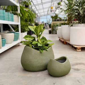  Vellum Rock Green planters in an indoor plant nursery in Melbourne