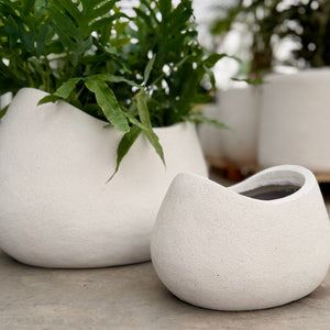 Close up of the Vellum Rock White planters in an indoor plant nursery in Melbourne