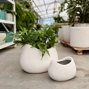 Vellum Rock White planters in an indoor plant nursery in Melbourne