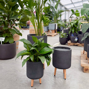 Vellum Tripod Grey Pots 
