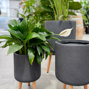 3x Vellum Tripod Grey Pots in varying sizes with plants 