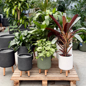 Vellum Tripod Pots in Black, Green and White