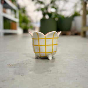 White small flower plant pot with yellow painted grid lines