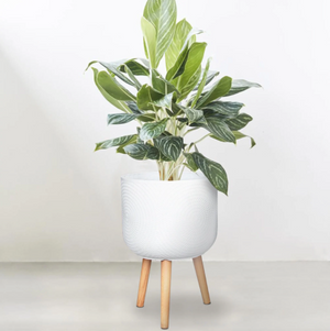 Mercury Tripod Pot