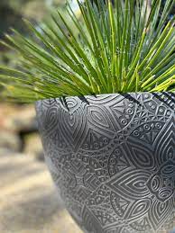Henna egg pot