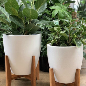Cement Egg Pot with Timber Stand