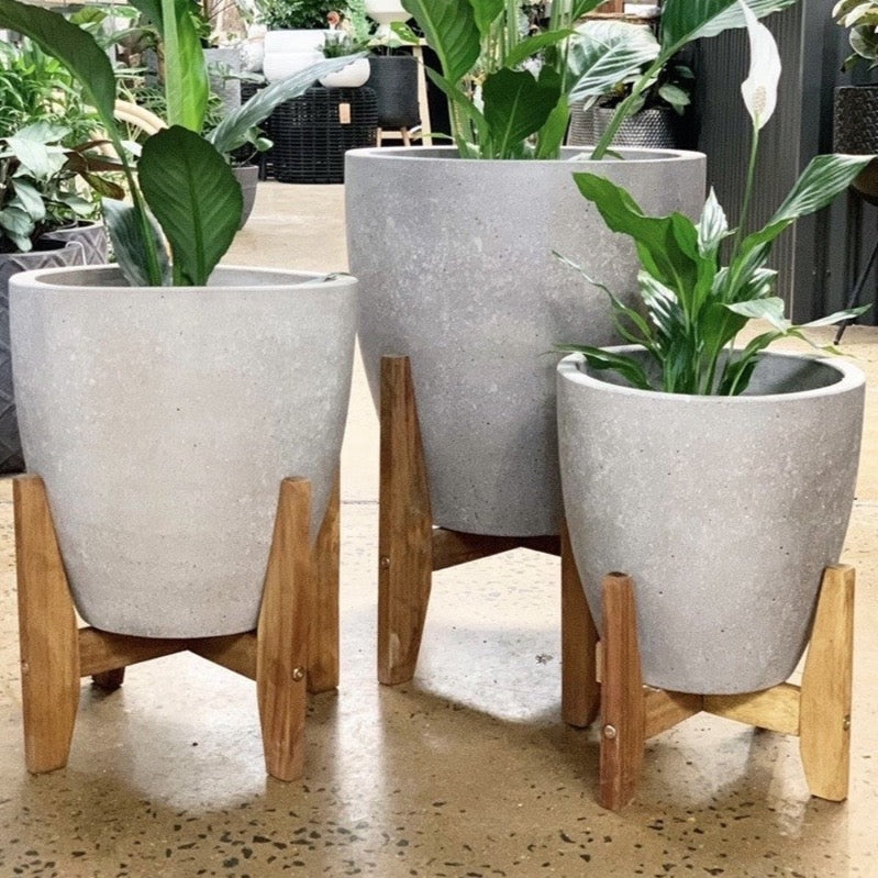 Cement Egg Pot with Timber Stand